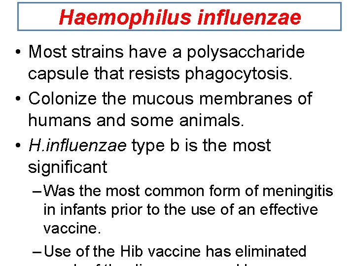 Haemophilus influenzae • Most strains have a polysaccharide capsule that resists phagocytosis. • Colonize