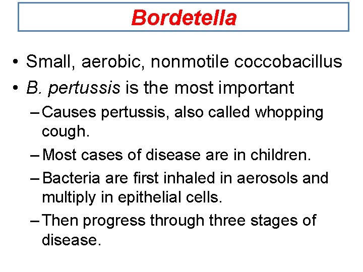 Bordetella • Small, aerobic, nonmotile coccobacillus • B. pertussis is the most important –