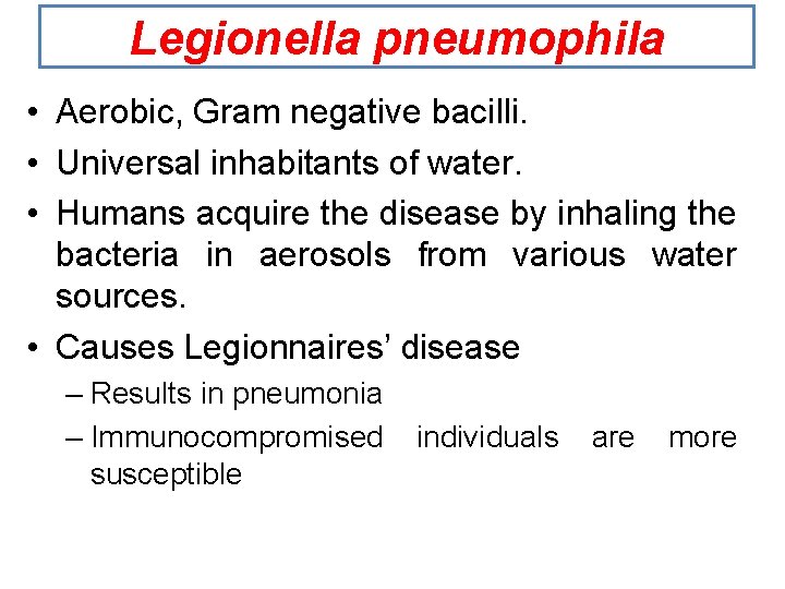 Legionella pneumophila • Aerobic, Gram negative bacilli. • Universal inhabitants of water. • Humans