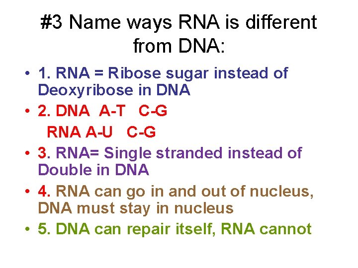 #3 Name ways RNA is different from DNA: • 1. RNA = Ribose sugar