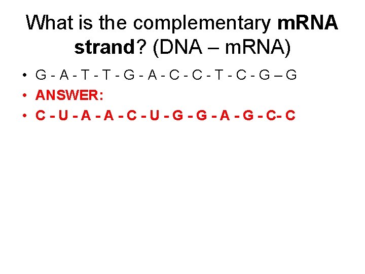 What is the complementary m. RNA strand? (DNA – m. RNA) • G-A-T-T-G-A-C-C-T-C-G–G •