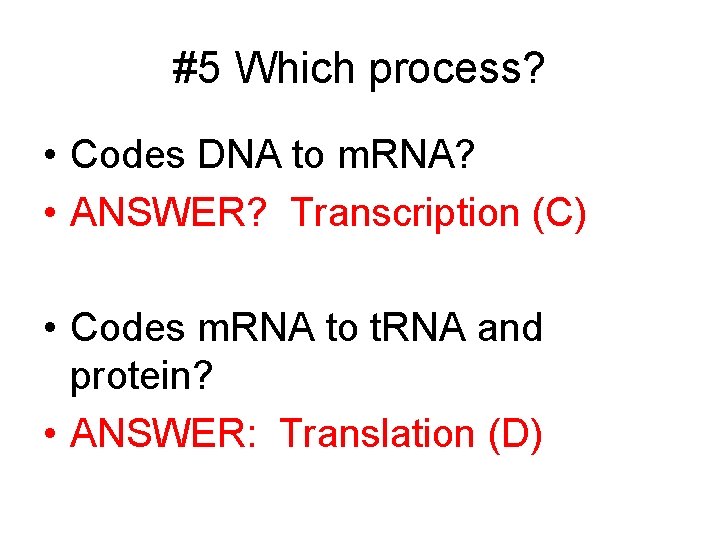 #5 Which process? • Codes DNA to m. RNA? • ANSWER? Transcription (C) •