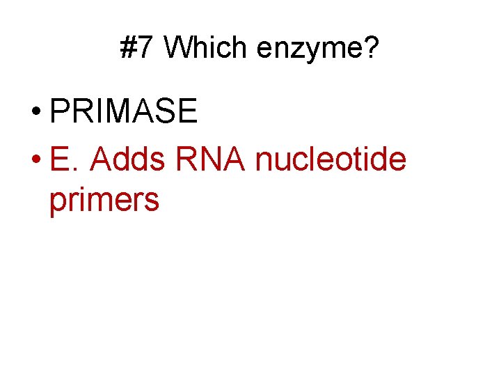 #7 Which enzyme? • PRIMASE • E. Adds RNA nucleotide primers 