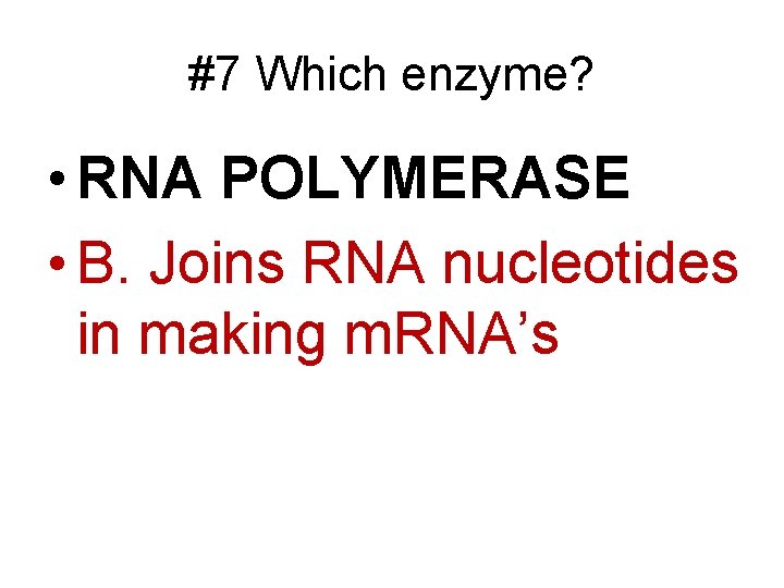 #7 Which enzyme? • RNA POLYMERASE • B. Joins RNA nucleotides in making m.