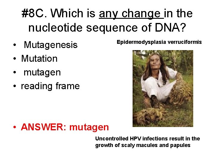 #8 C. Which is any change in the nucleotide sequence of DNA? • •