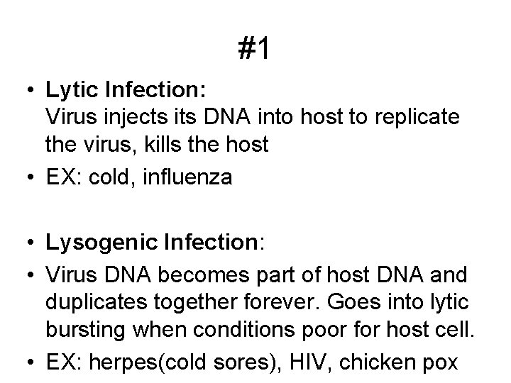 #1 • Lytic Infection: Virus injects its DNA into host to replicate the virus,