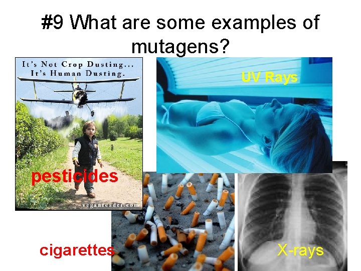 #9 What are some examples of mutagens? UV Rays pesticides cigarettes X-rays 