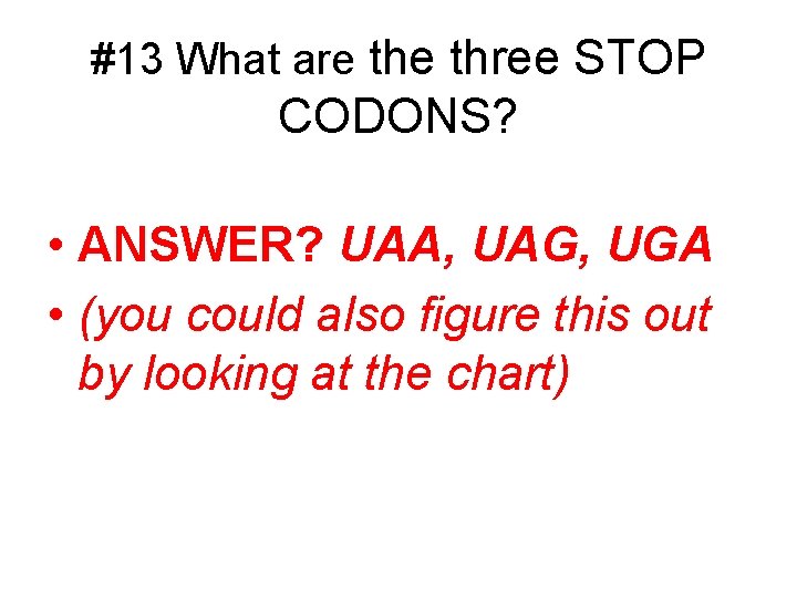 #13 What are three STOP CODONS? • ANSWER? UAA, UAG, UGA • (you could