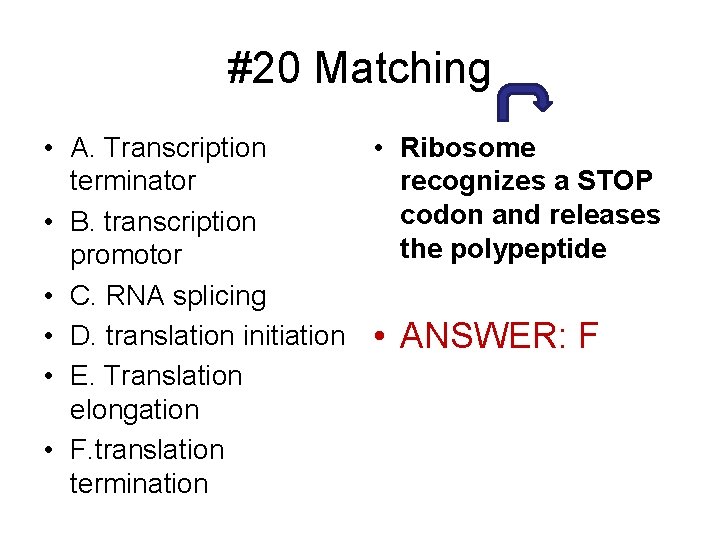 #20 Matching • A. Transcription • Ribosome terminator recognizes a STOP codon and releases