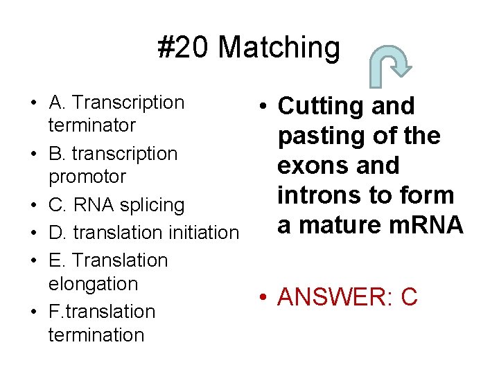 #20 Matching • A. Transcription terminator • B. transcription promotor • C. RNA splicing