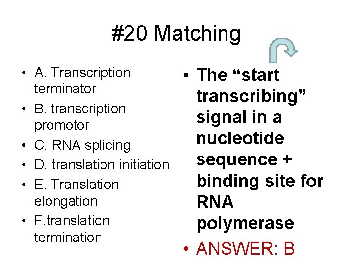 #20 Matching • A. Transcription terminator • B. transcription promotor • C. RNA splicing