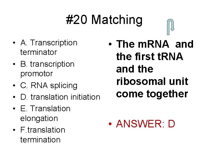 #20 Matching • A. Transcription terminator • B. transcription promotor • C. RNA splicing