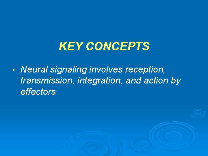 KEY CONCEPTS • Neural signaling involves reception, transmission, integration, and action by effectors 
