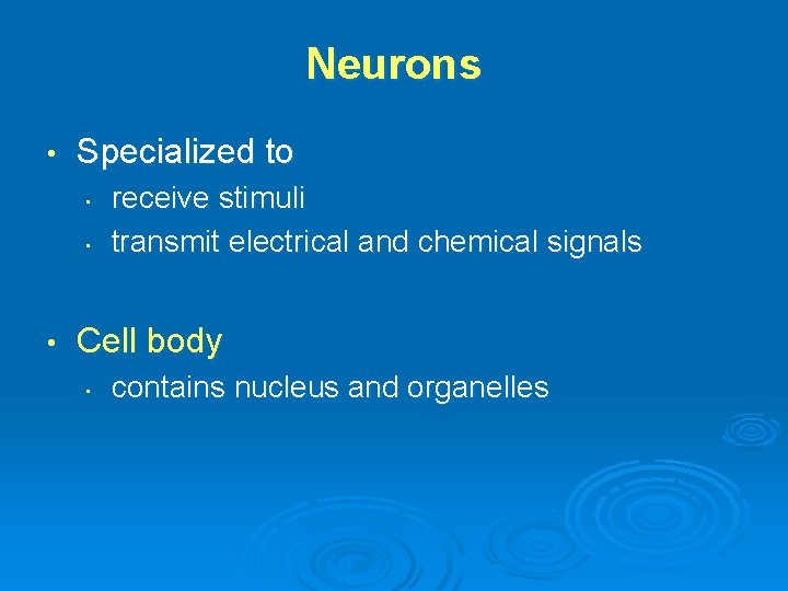 Neurons • Specialized to • • • receive stimuli transmit electrical and chemical signals