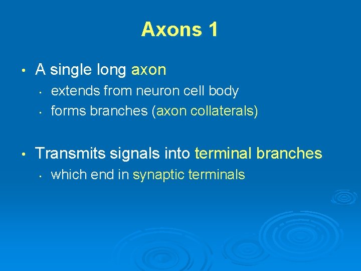 Axons 1 • A single long axon • • • extends from neuron cell