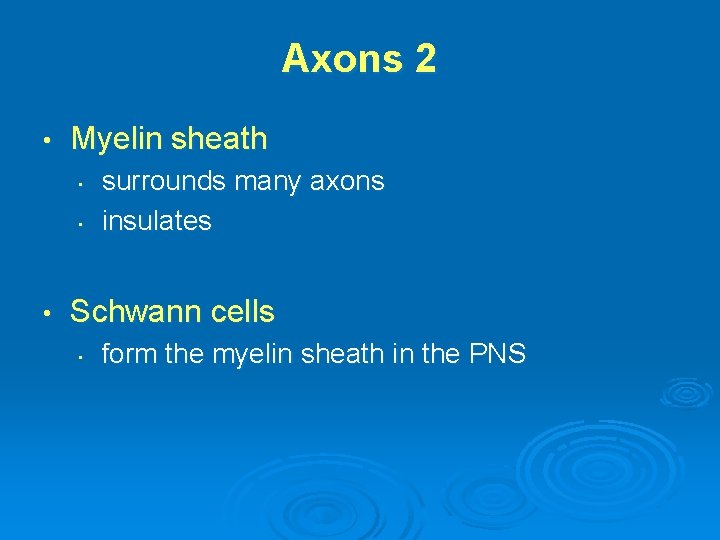Axons 2 • Myelin sheath • • • surrounds many axons insulates Schwann cells