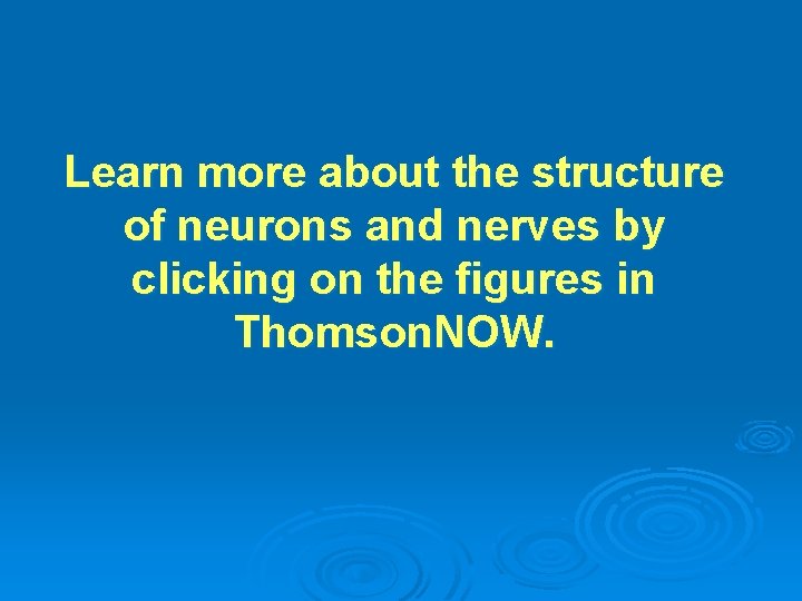 Learn more about the structure of neurons and nerves by clicking on the figures