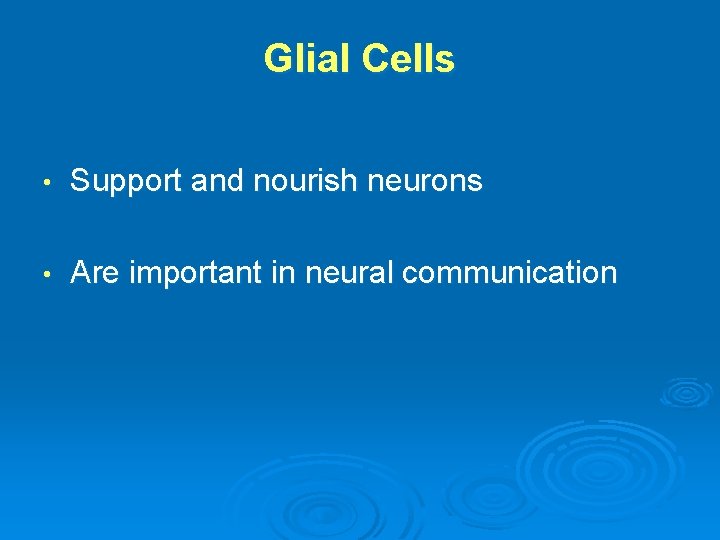 Glial Cells • Support and nourish neurons • Are important in neural communication 