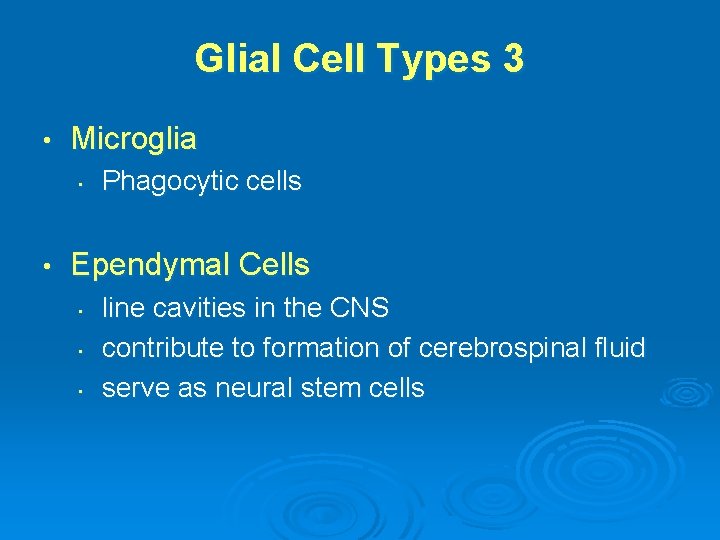 Glial Cell Types 3 • Microglia • • Phagocytic cells Ependymal Cells • •