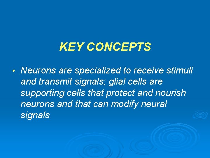 KEY CONCEPTS • Neurons are specialized to receive stimuli and transmit signals; glial cells
