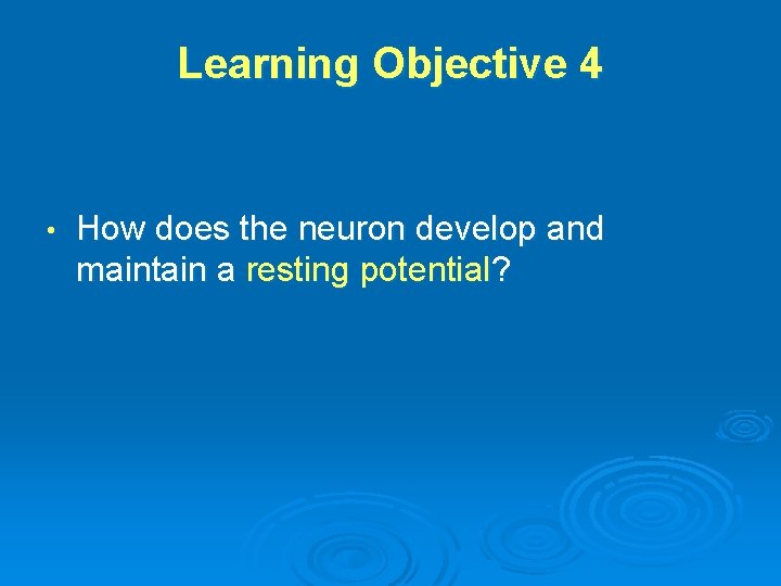 Learning Objective 4 • How does the neuron develop and maintain a resting potential?
