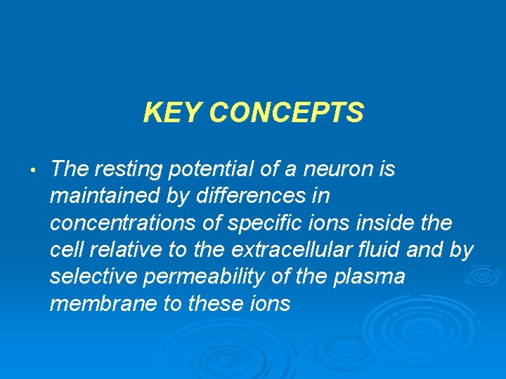 KEY CONCEPTS • The resting potential of a neuron is maintained by differences in