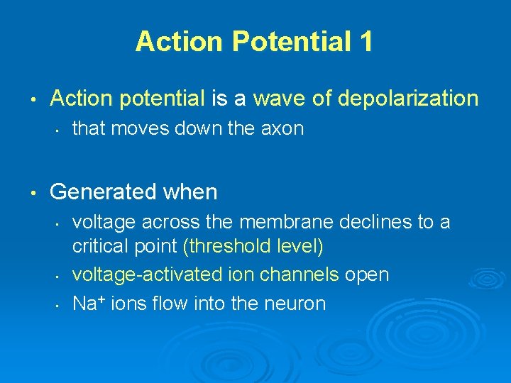 Action Potential 1 • Action potential is a wave of depolarization • • that