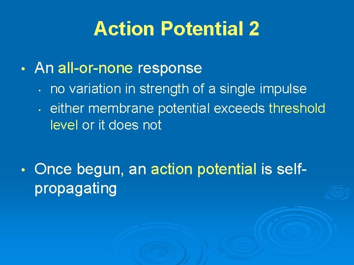Action Potential 2 • An all-or-none response • • • no variation in strength