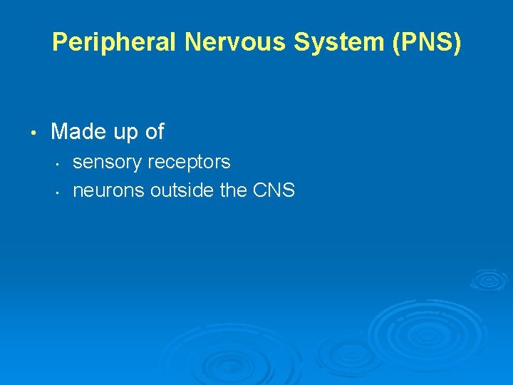 Peripheral Nervous System (PNS) • Made up of • • sensory receptors neurons outside