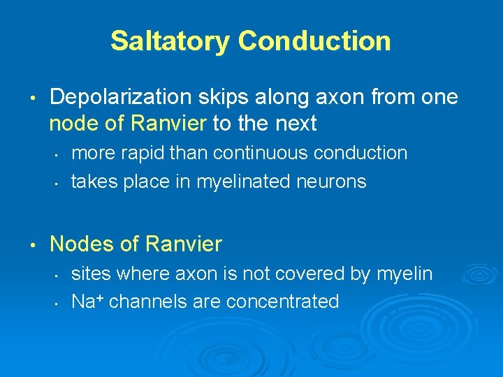 Saltatory Conduction • Depolarization skips along axon from one node of Ranvier to the