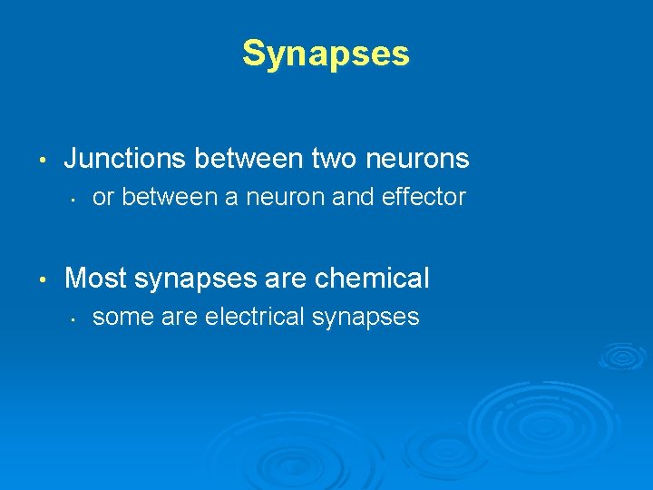 Synapses • Junctions between two neurons • • or between a neuron and effector