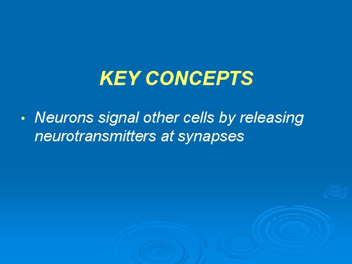 KEY CONCEPTS • Neurons signal other cells by releasing neurotransmitters at synapses 
