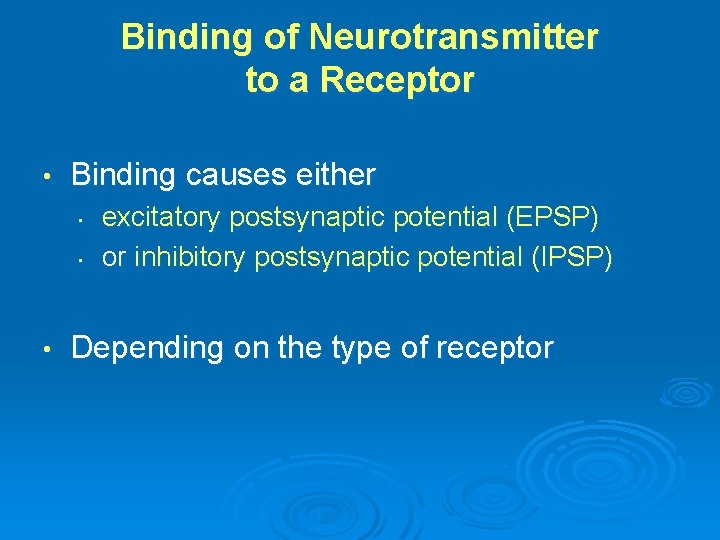 Binding of Neurotransmitter to a Receptor • Binding causes either • • • excitatory