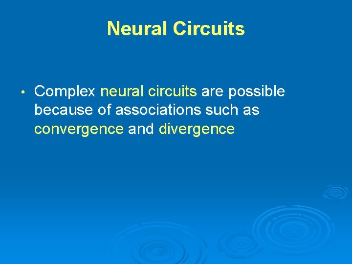 Neural Circuits • Complex neural circuits are possible because of associations such as convergence