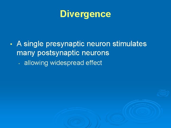 Divergence • A single presynaptic neuron stimulates many postsynaptic neurons • allowing widespread effect