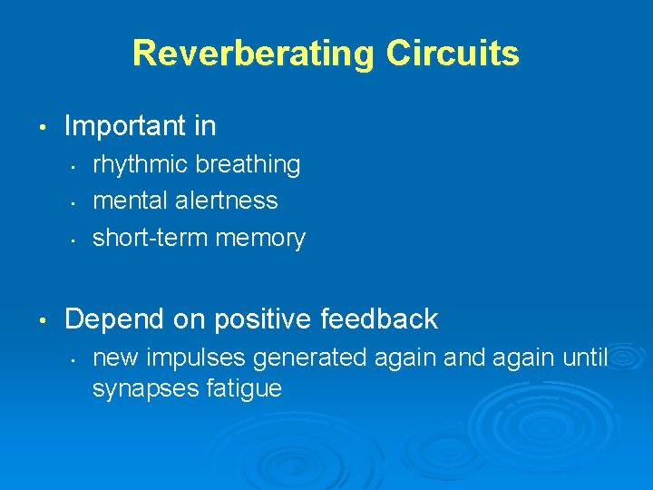 Reverberating Circuits • Important in • • rhythmic breathing mental alertness short-term memory Depend