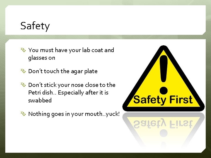 Safety You must have your lab coat and glasses on Don’t touch the agar