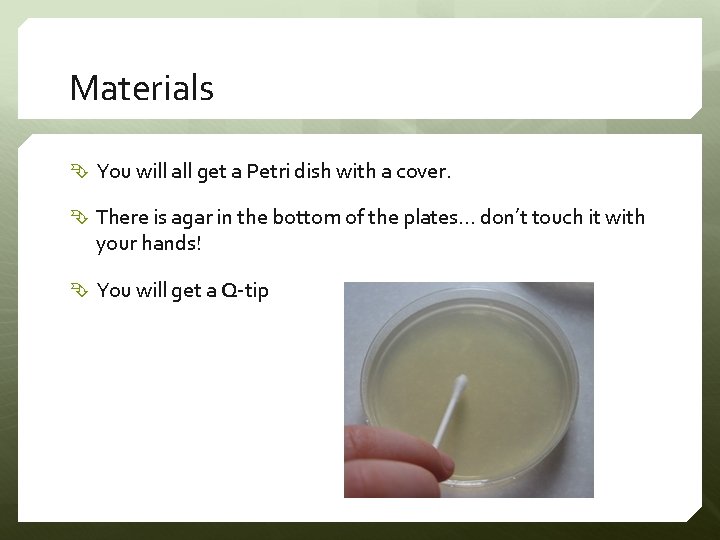 Materials You will all get a Petri dish with a cover. There is agar