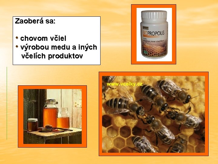 Zaoberá sa: • chovom včiel • výrobou medu a iných včelích produktov 