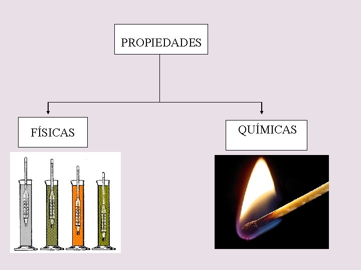 PROPIEDADES FÍSICAS QUÍMICAS 