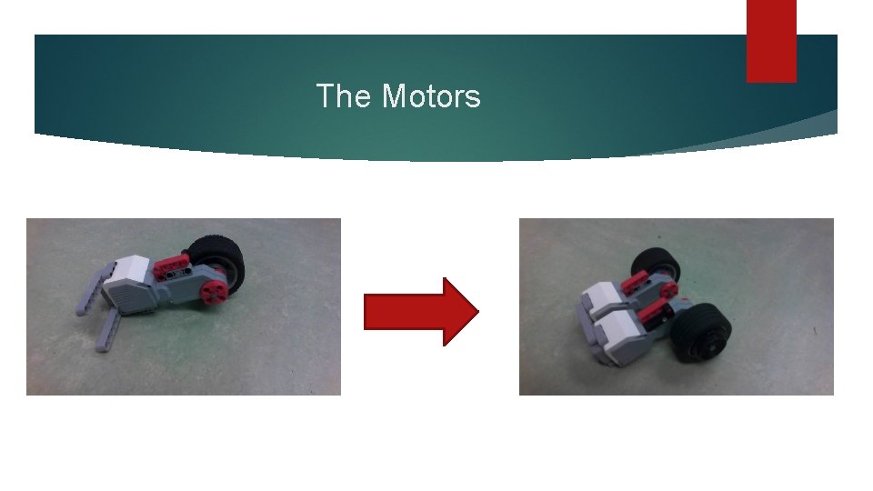 The Motors 