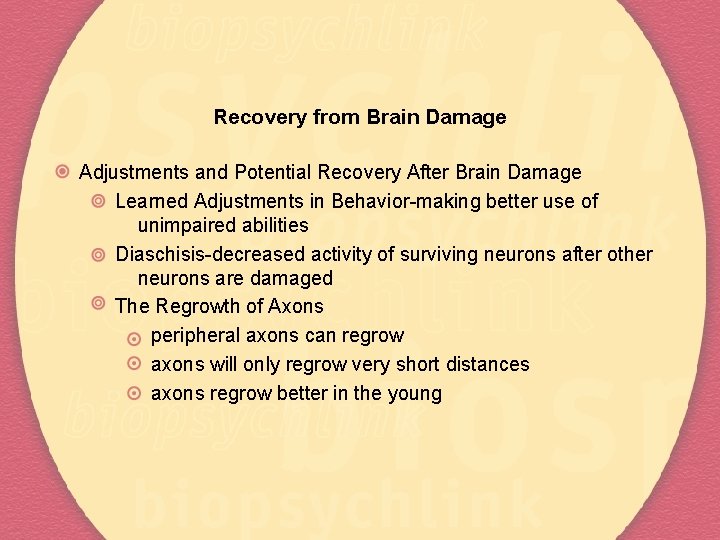 Recovery from Brain Damage Adjustments and Potential Recovery After Brain Damage Learned Adjustments in
