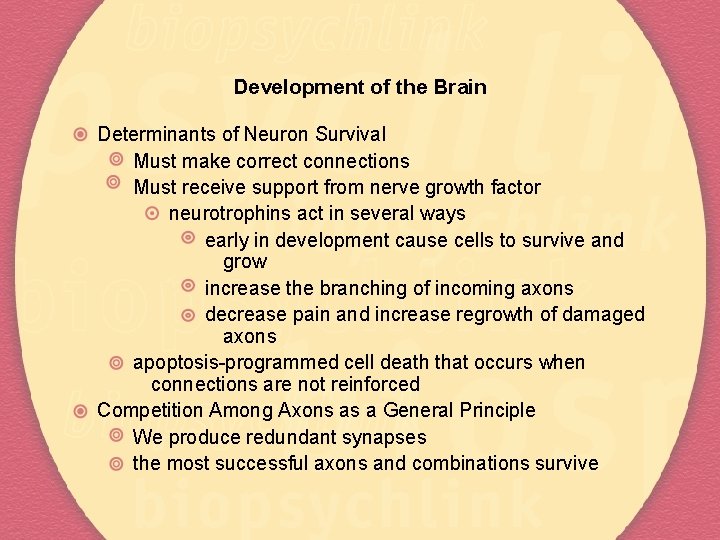 Development of the Brain Determinants of Neuron Survival Must make correct connections Must receive