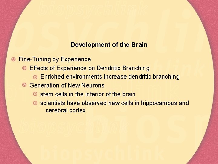 Development of the Brain Fine-Tuning by Experience Effects of Experience on Dendritic Branching Enriched