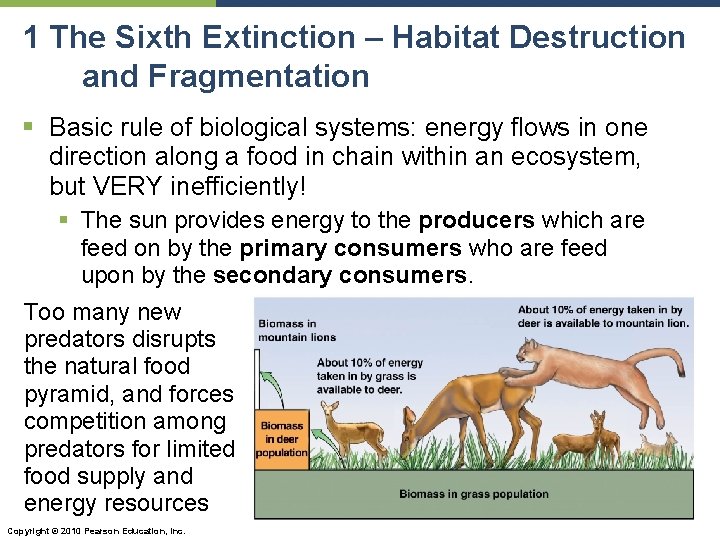 1 The Sixth Extinction – Habitat Destruction and Fragmentation § Basic rule of biological