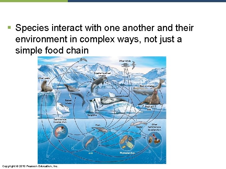 § Species interact with one another and their environment in complex ways, not just