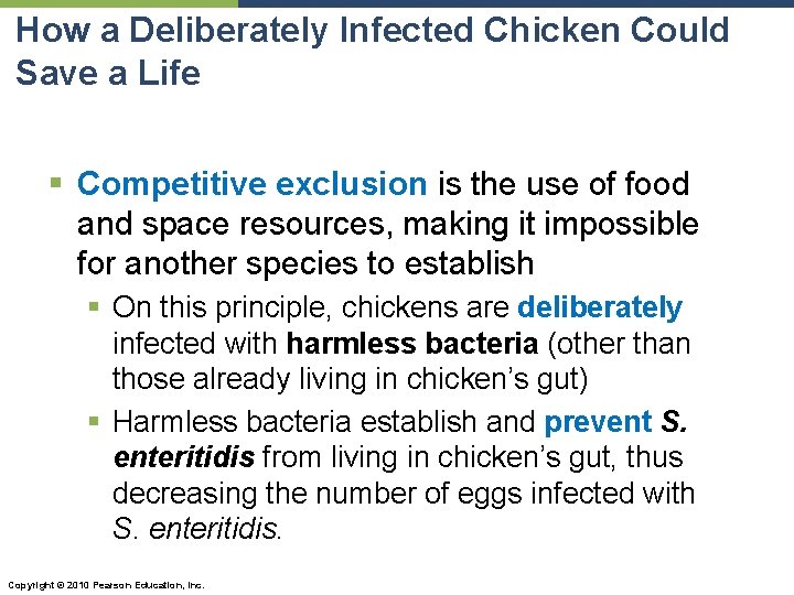 How a Deliberately Infected Chicken Could Save a Life § Competitive exclusion is the