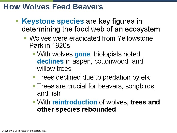 How Wolves Feed Beavers § Keystone species are key figures in determining the food