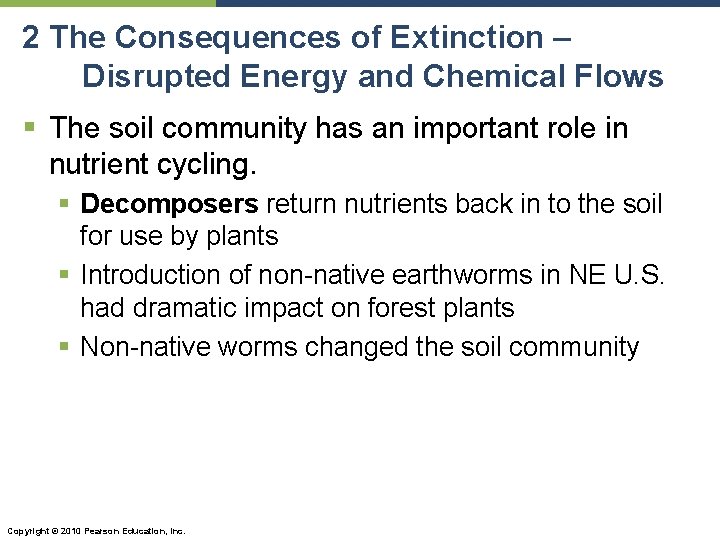 2 The Consequences of Extinction – Disrupted Energy and Chemical Flows § The soil