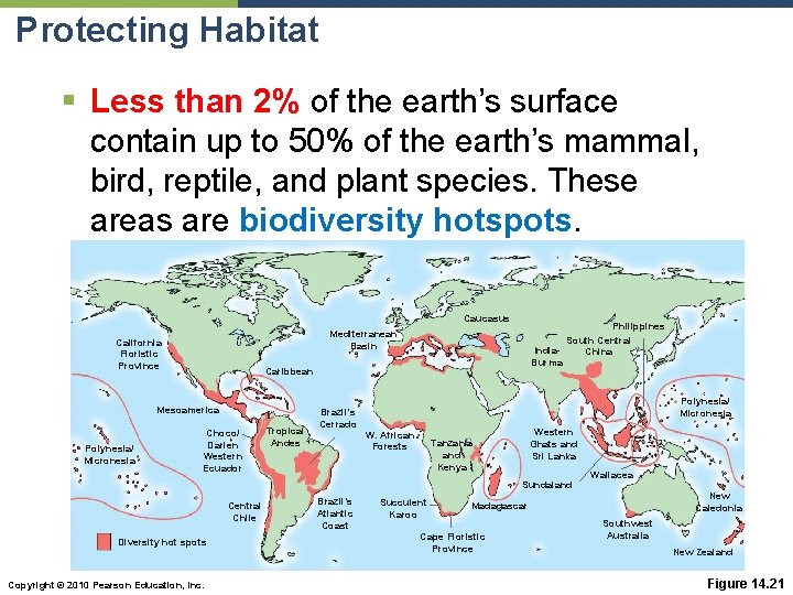 Protecting Habitat § Less than 2% of the earth’s surface contain up to 50%